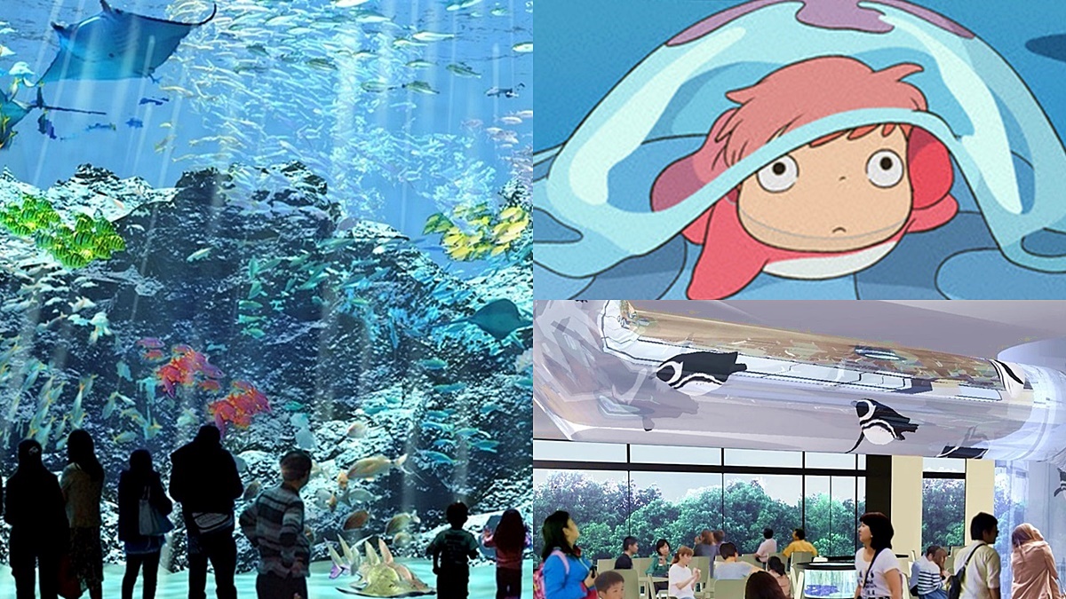 超夯Xpark水族館「4大設施」曝光！電影《崖上的波妞》原型現身、全台首創「企鵝咖啡館」