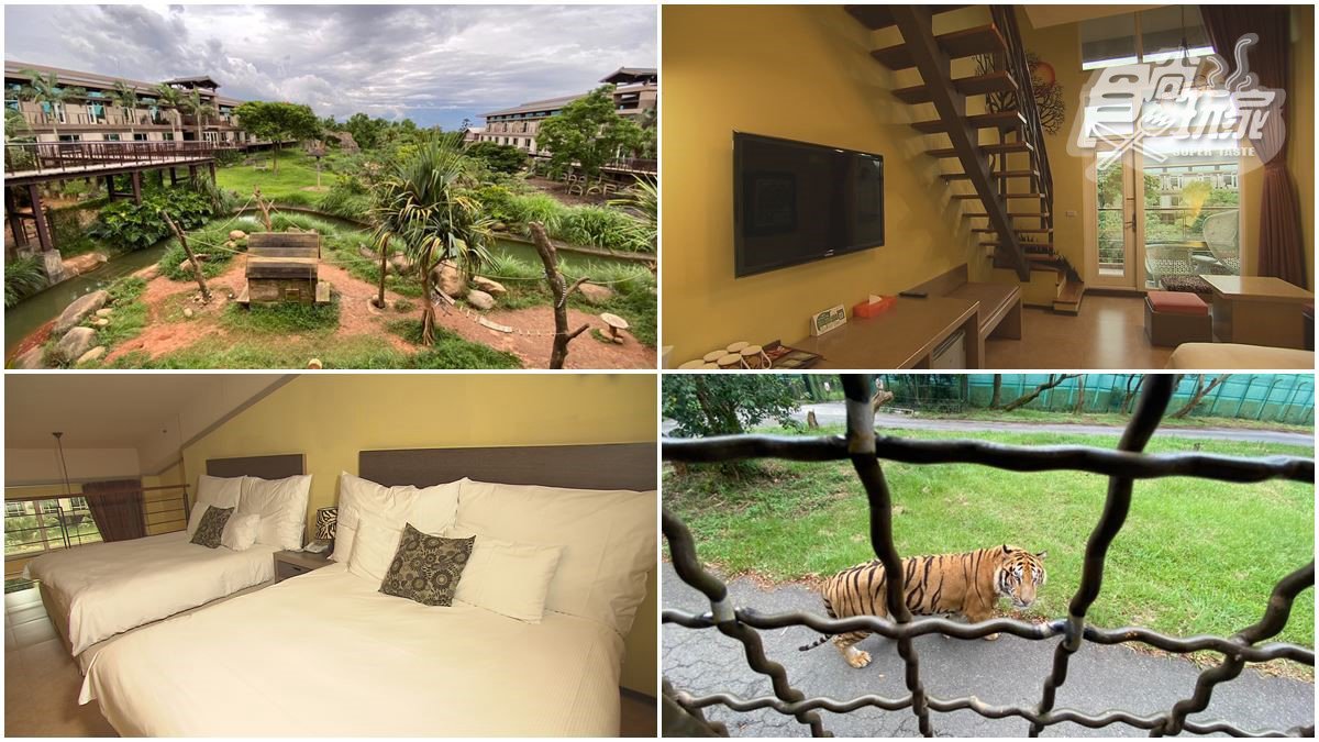 亞洲第一間生態旅館！走出陽台就能看長頸鹿，還能預約體驗餵老虎、獅子