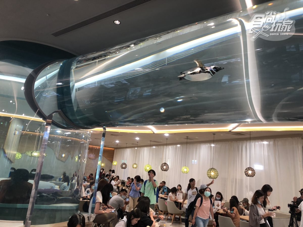 不只水族館！桃園青埔5大最新打卡點，飯店、影城和IKEA必逛全攻略