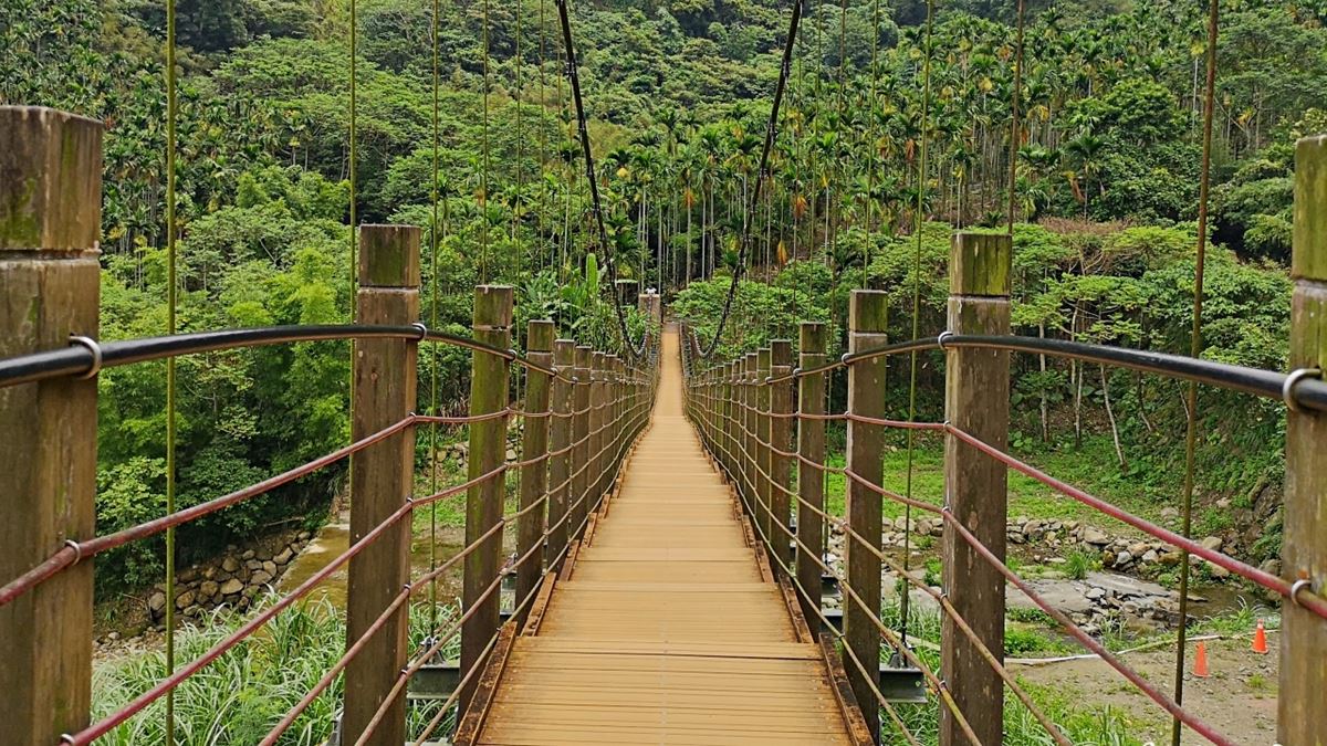 不出國遊東南亞叢林！雲林繩索吊橋刺激又好拍，「小天梯」還能俯瞰溪谷美景