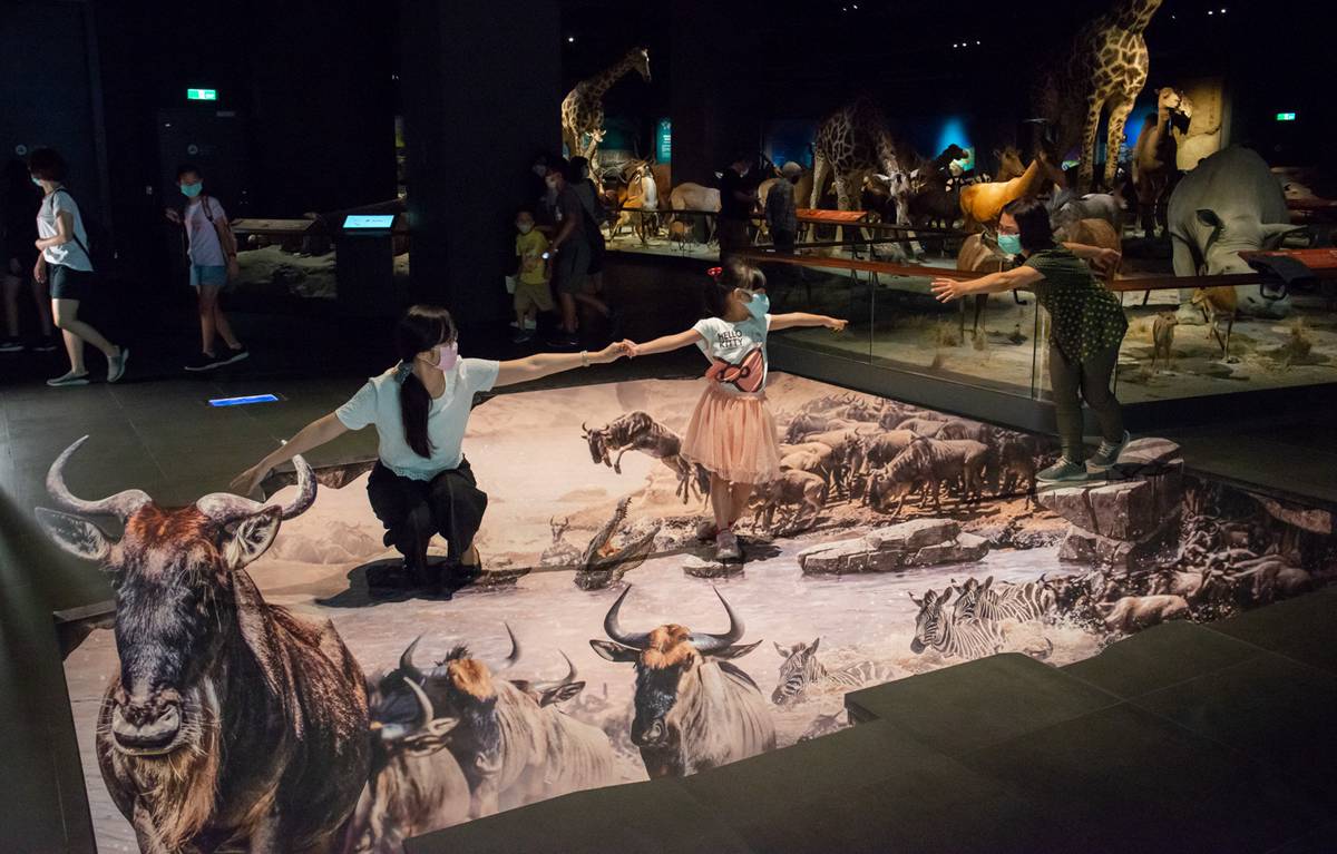 要救海豹嗎？奇美博物館最新「3D立體地景」北極熊、鱷魚超逼真