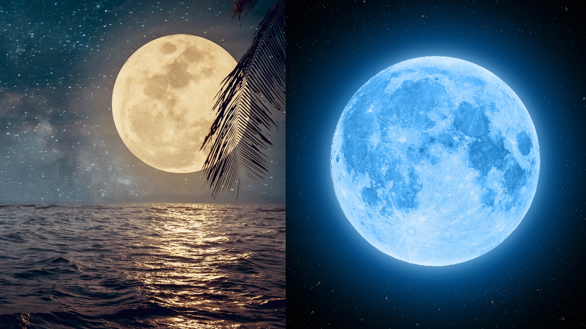 天文迷準備好賞月囉！最美「藍月亮」10/31萬聖節現身，肉眼看到飽