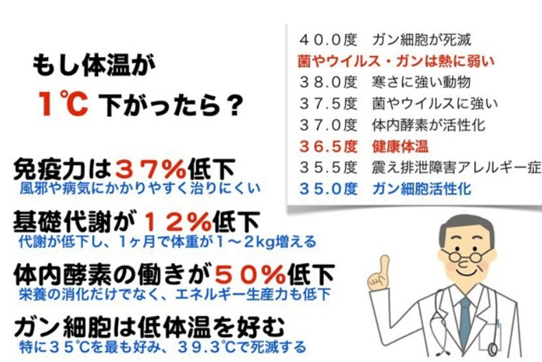 體溫高不容易胖！？日本最新研究發現體溫少X度，代謝直接降低12％
