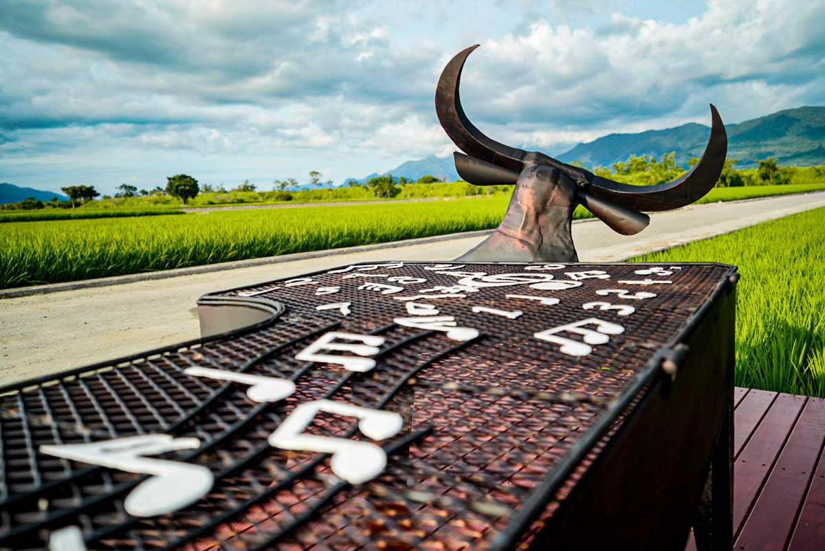 「最長打卡點」台東197美拍之旅：蓮花池畔有巨人、稻田裡的牛頭鋼琴、幫女孩抓山豬