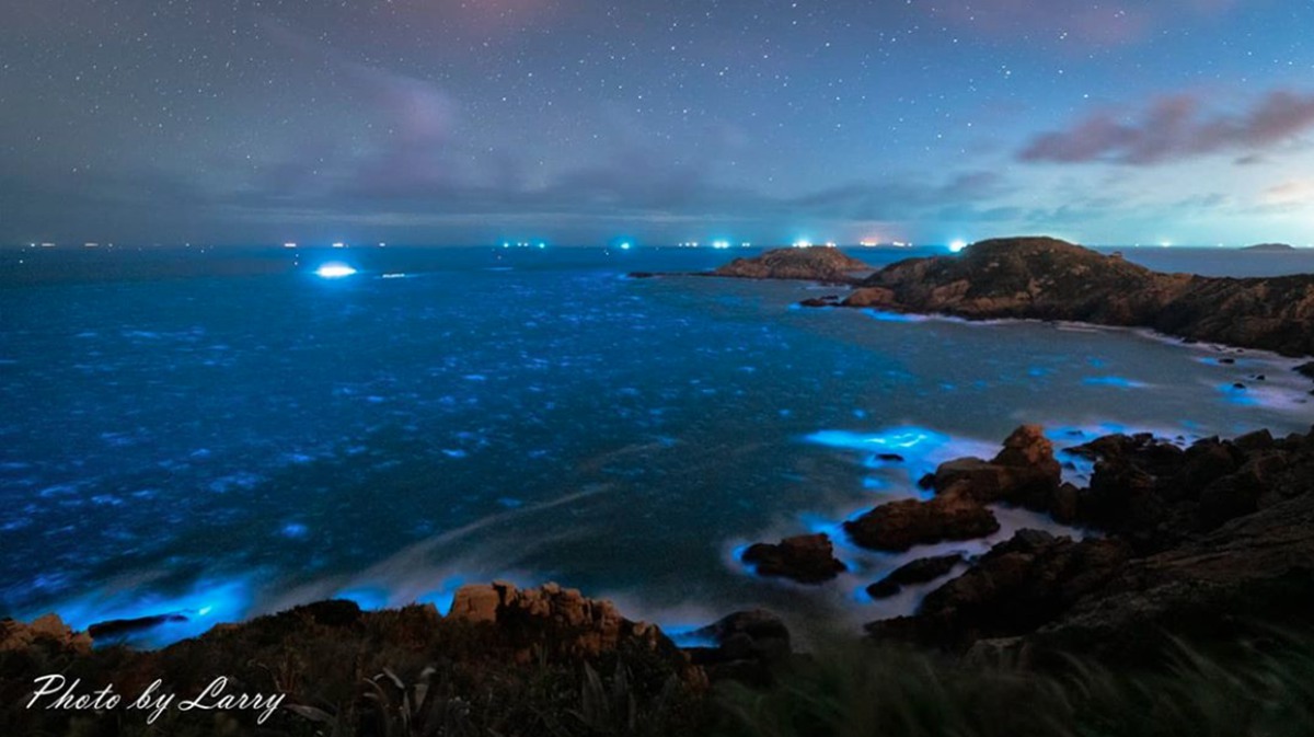 10月也能看到藍眼淚！馬祖海岸發光了，2020「追淚」倒數這2處，最後機會想拍快衝