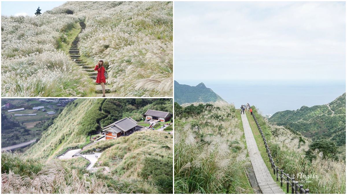 快衝銀白色花海！雙北3大秋季限定芒草美景：火山口地貌、天海一色步道