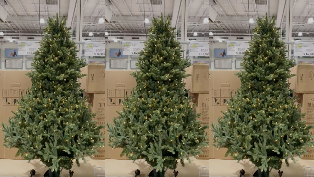 一秒長高！好市多推「會升降的聖誕樹」超威，網友嗨回：「以為要變形了」