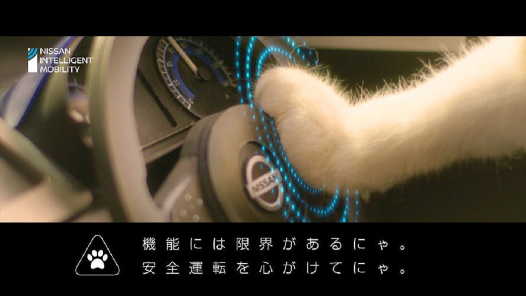 影片中有大量貓咪與Nyasan Dayz互動畫面。(圖片來源/ Nissan)