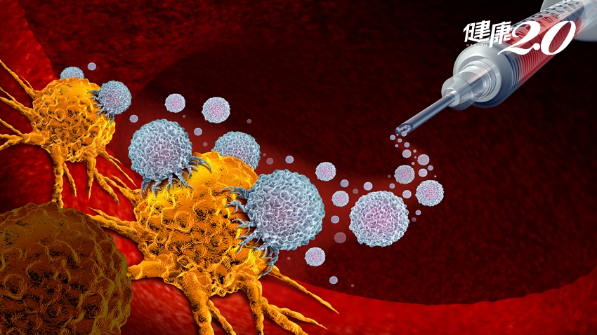 免疫療法顛覆癌症治療！放化療殺敵一千自損八百 免疫療法如何治癒癌症？
