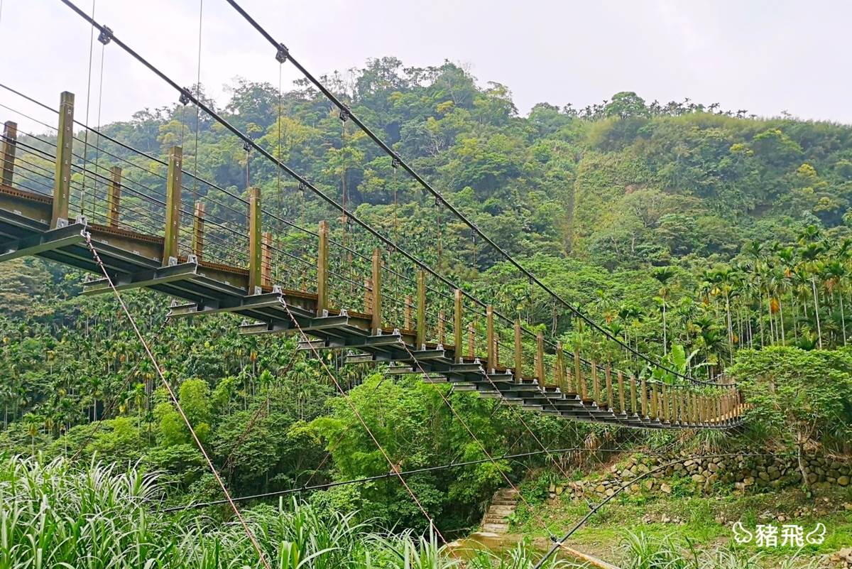 【食尚首播】古坑祕境1日遊5行程：美拍叢林吊橋、植物染DIY、喝「400次」咖啡