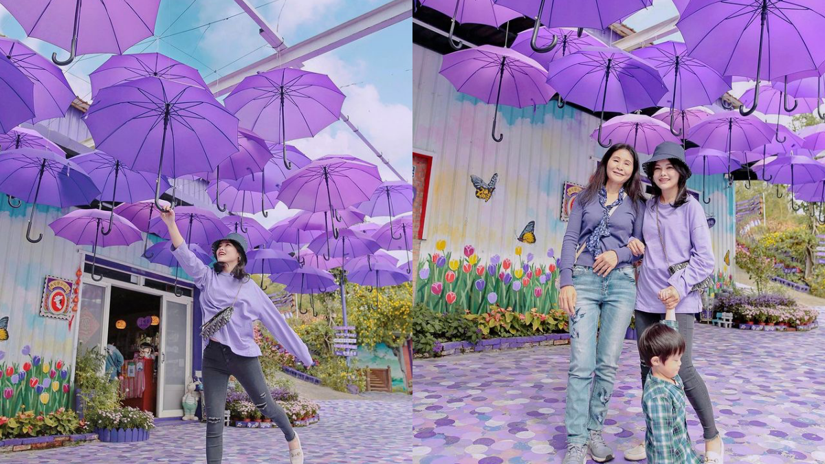 漫步紫色仙境！噢哈娜咖啡屋「紫藤花步道」太夢幻，紫色花傘、波波草超好拍