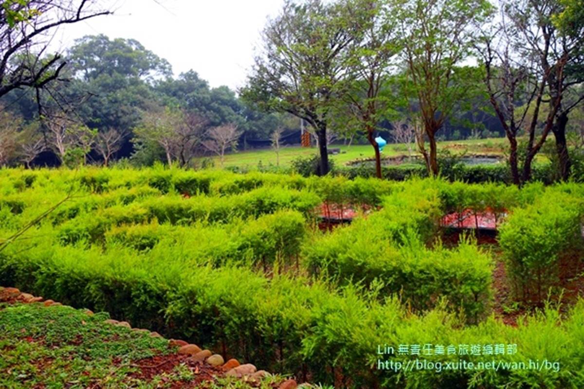 整座農村都是遊樂場！大北坑社區親子遊4打卡點：茶樹迷宮、麻糬DIY、美人茶餐