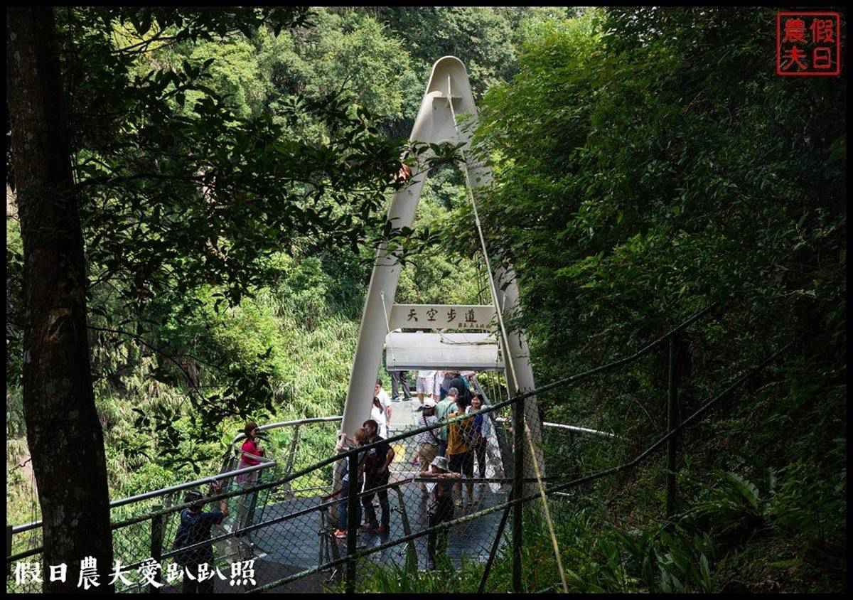 小烏來就這樣玩！透明天空步道賞溪谷美景，挑戰70公尺繩橋還能打卡絕美瀑布