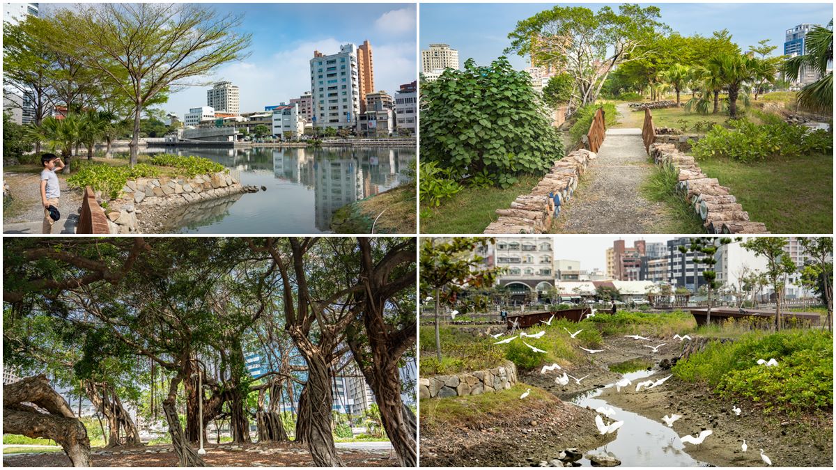 台南市中心最美生態公園！賞白鷺鷥群、談情說愛樹，順路玩親子最愛親水廣場