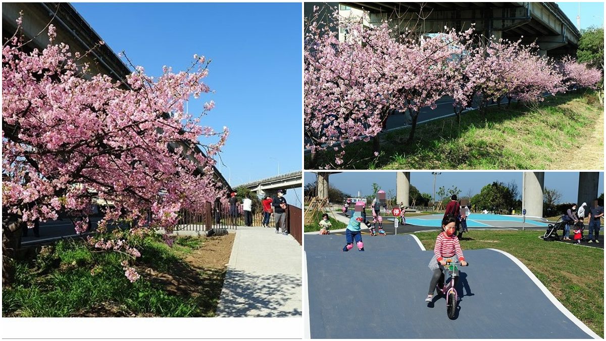 遛小孩也能當網美 新竹河濱公園打卡櫻花自行車道 還能免費玩全新滑步車場 食尚玩家