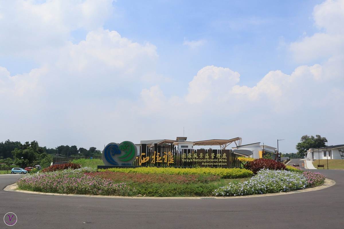 不只有菱角！台南官田親子遊4打卡點：百年大綠傘、無邊際景觀池、「菱香舟影」奇景