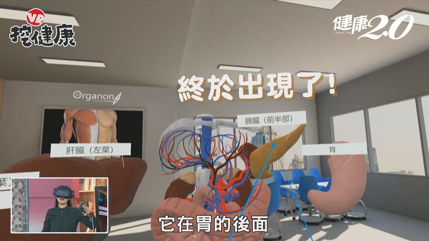 為何胰臟癌死亡率高？醫師直說「很難找！」 VR帶你揭開胰臟真面目