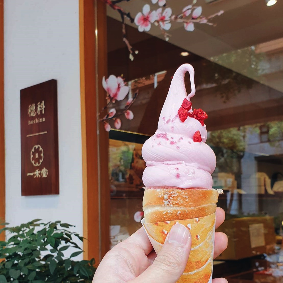 甜點控先收藏！一禾堂「漬櫻花豆乳冰淇淋捲」這天開賣，櫻色柚香沾麵、水信玄餅太夢幻