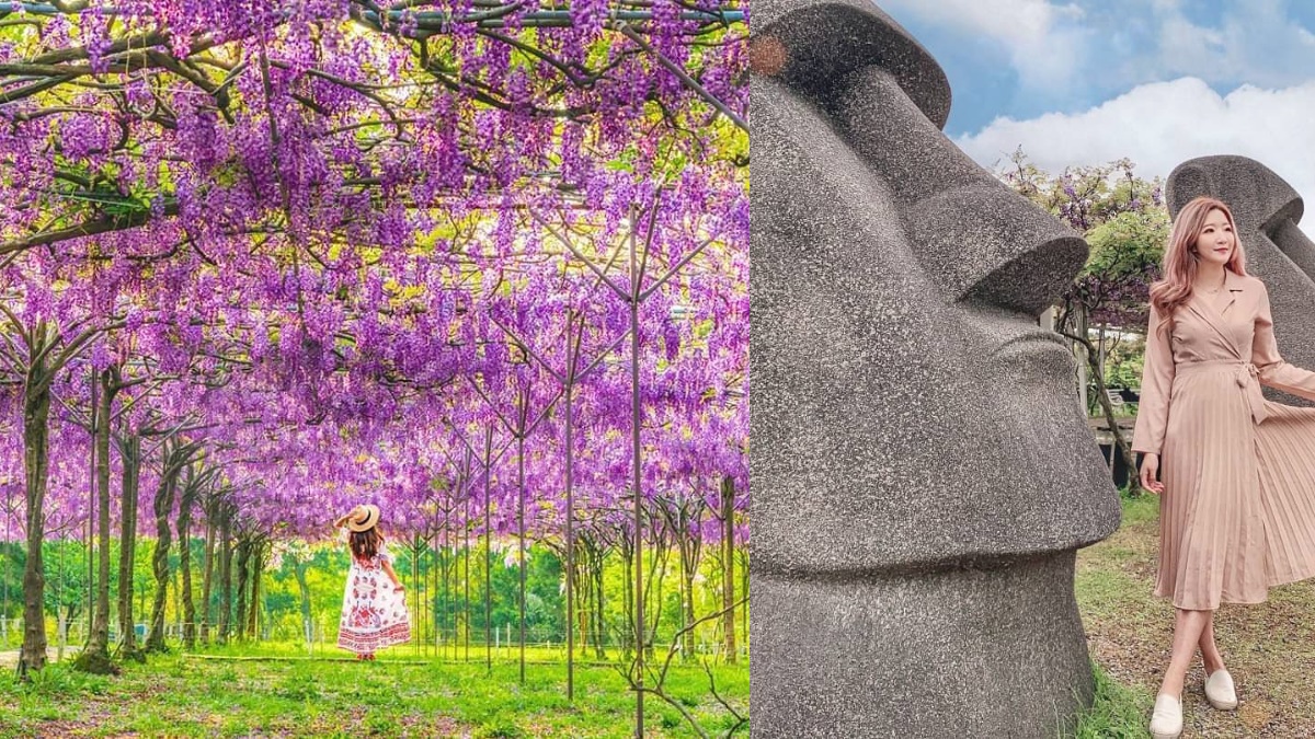 3/13搶先開放！全台最大「萬坪紫藤花園」在這，夢幻紫藤步道、摩艾石像限時拍
