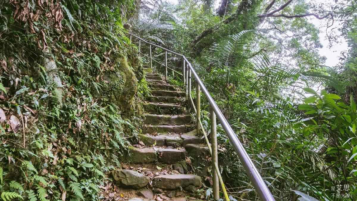 步道的組成為石塊階，多數是階梯，時而陡時而緩。