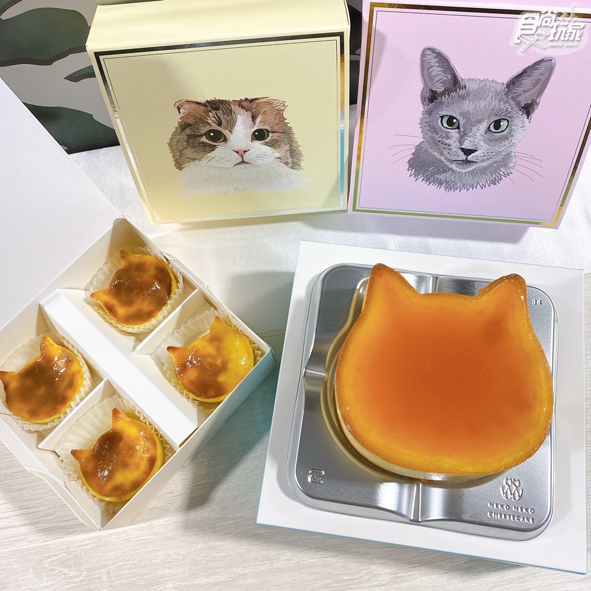 貓奴淪陷！日本爆紅NEKO NEKO CHEESECAKE「貓貓起司蛋糕」明天登場，快閃地點、日期一次看