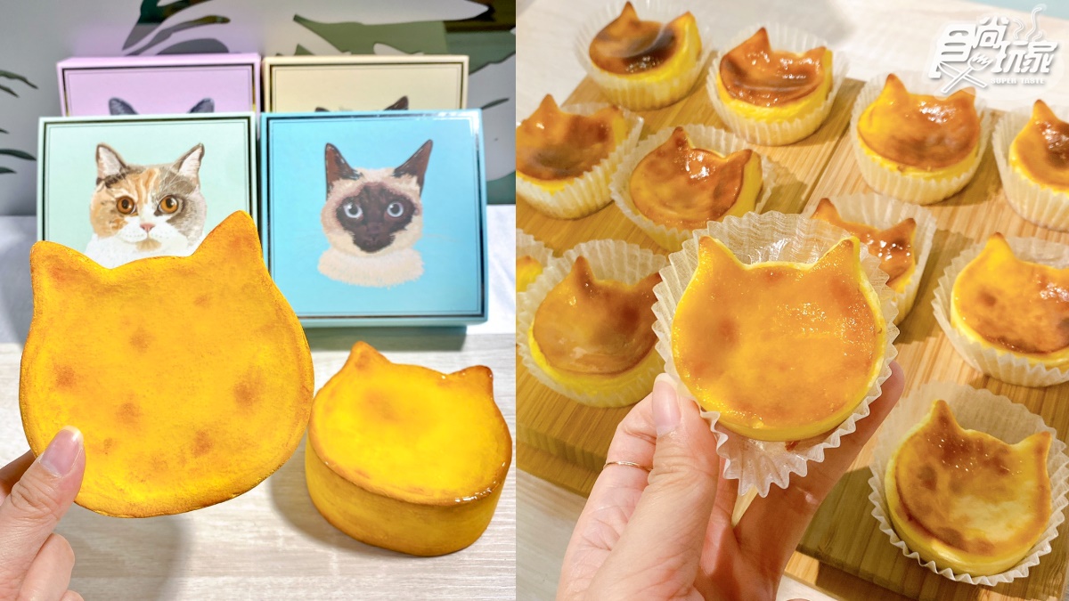 貓奴淪陷！日本爆紅NEKO NEKO CHEESECAKE「貓貓起司蛋糕」明天登場，快閃地點、日期一次看
