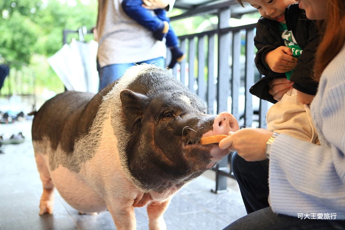 住了不想走！宜花５家超好玩親子旅宿：古早味玩具遊戲室、迷你動物園、室內兒童賽車場