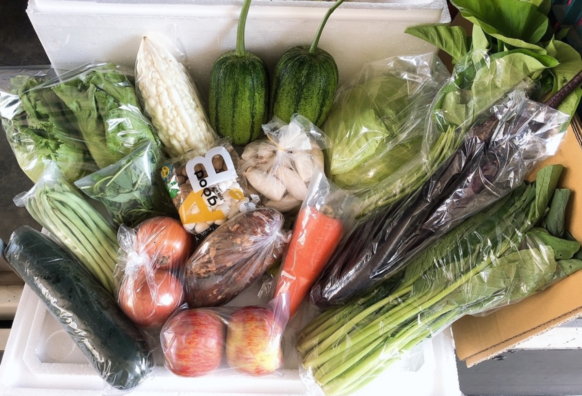 宜蘭人快收！５家在地「小農蔬菜箱」新鮮直送，有機蔬果、防疫乾貨一次備齊