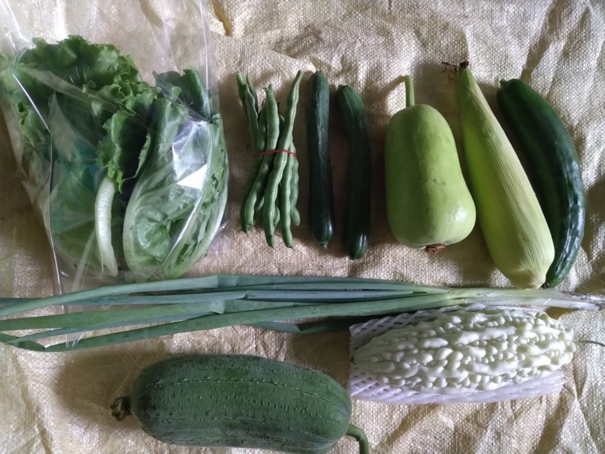 宜蘭人快收！５家在地「小農蔬菜箱」新鮮直送，有機蔬果、防疫乾貨一次備齊