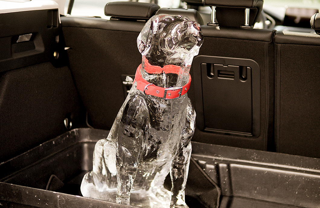 Ford特別聘請冰雕師以拉布拉多成犬樣貌打造冰狗狗。(圖片來源/ Ford)