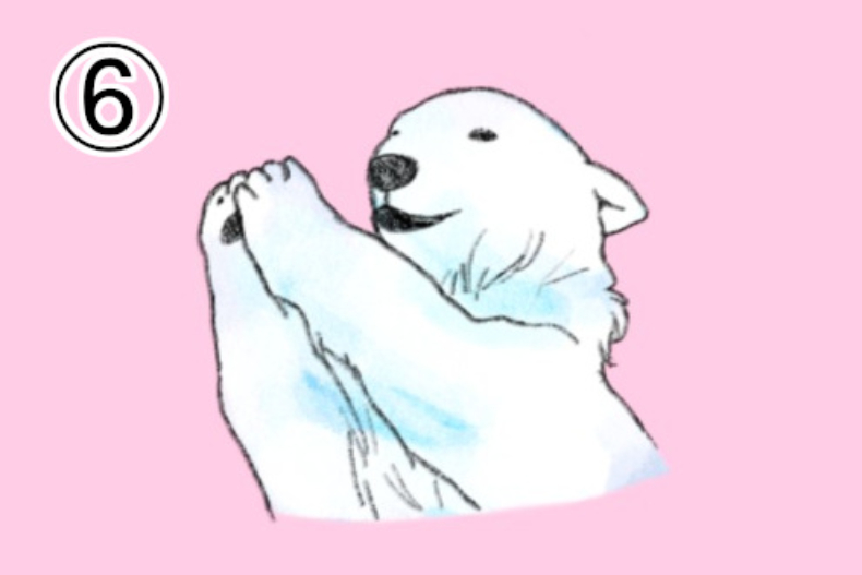 日本超療癒「北極熊心理測驗」！選一隻北極熊，秒測你「最令人反感」的行為
