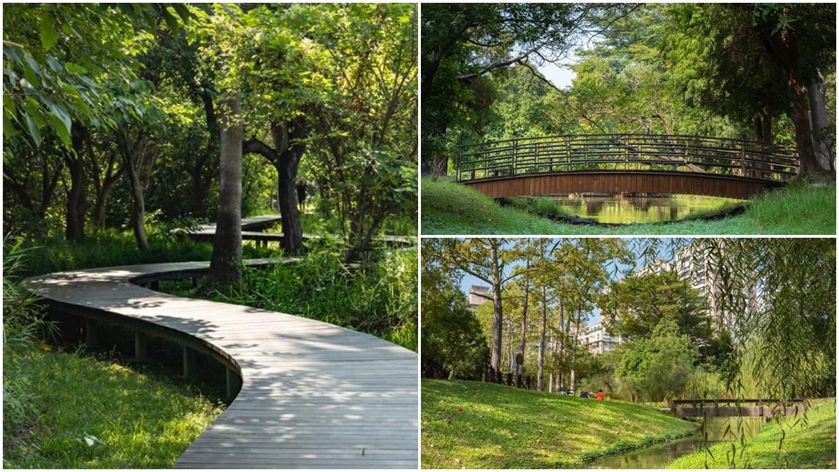 台版紐約中央公園！市區洗森林浴，打卡浪漫夢湖、夫妻樹、荷花池畔拱橋