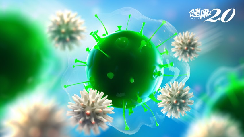 免疫系統出事了！抗疫模範紐西蘭爆發致命病毒 醫揭「關鍵原因」