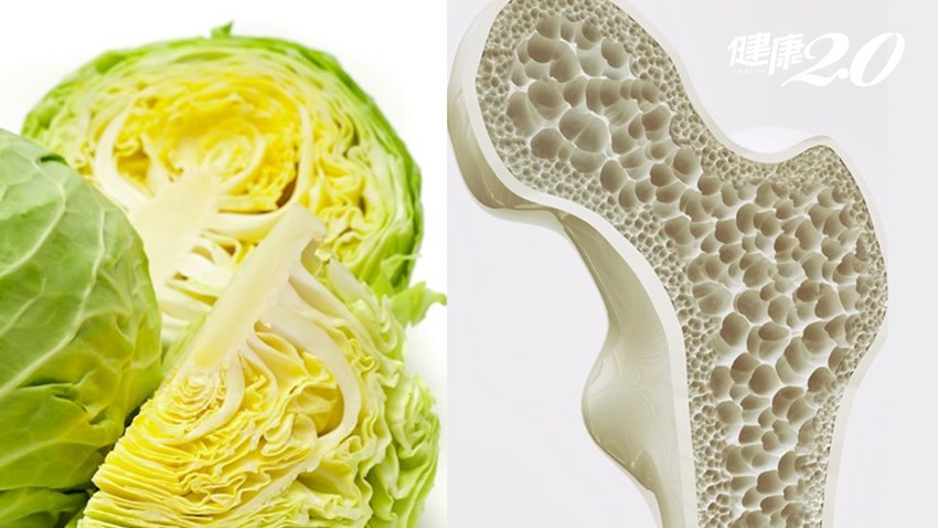 吃高麗菜可以預防骨質疏鬆？營養師揭真相：這樣吃才有用