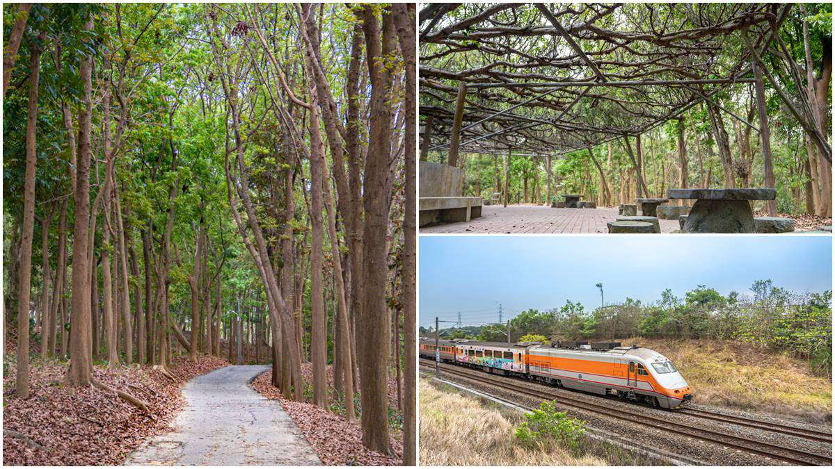 免上山遊森林！超好走「綠色隧道」賞百年巨型榕樹，還有鐵道迷必朝聖「火車祕境」
