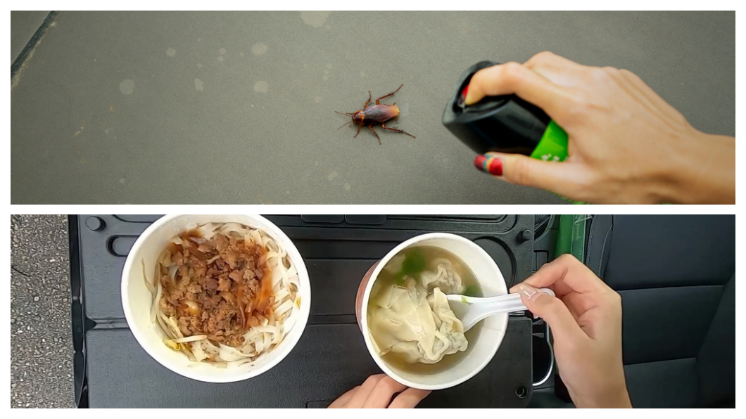 出遊時難免需要在車上吃東西，但網友表示真的很害怕車上因此有蟑螂。(圖片來源/shutterstock、TVBS)