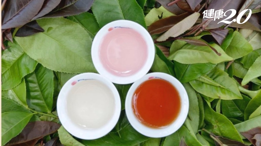 台灣茶改場研發紫色茶新品種 花青素高50倍，好喝好看又好心