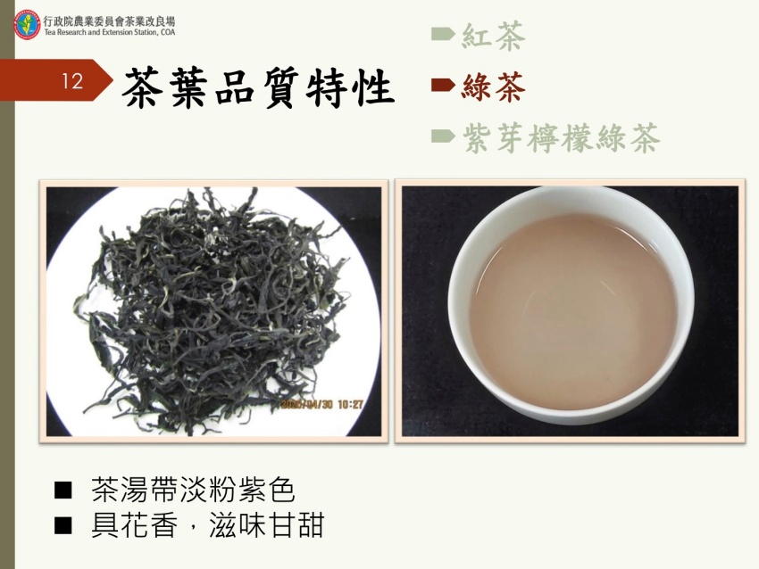 台灣茶改場研發紫色茶新品種 花青素高50倍，好喝好看又好心