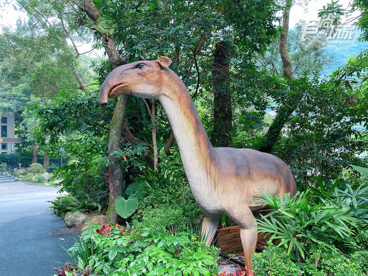 恐龍迷注意！溫泉飯店推「遠古生物展」，必拍７公尺金剛、霸王龍互動有叫聲