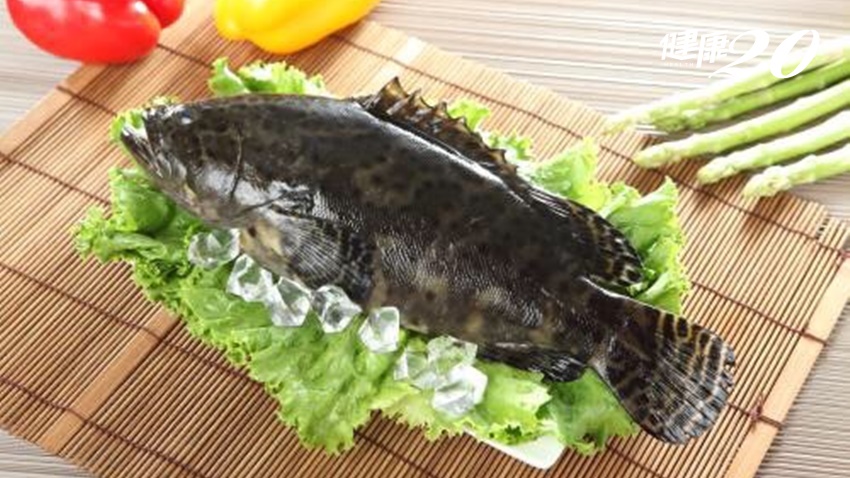 漁業署推出光輝「石」月石斑魚優惠組合 低脂、高蛋白、不長胖，趕快吃起來