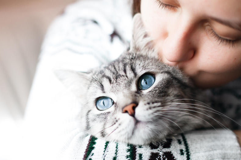 憑直覺選貓咪揭示你的個性及交友狀況！渴望成為「好人」恐被認為不夠真誠