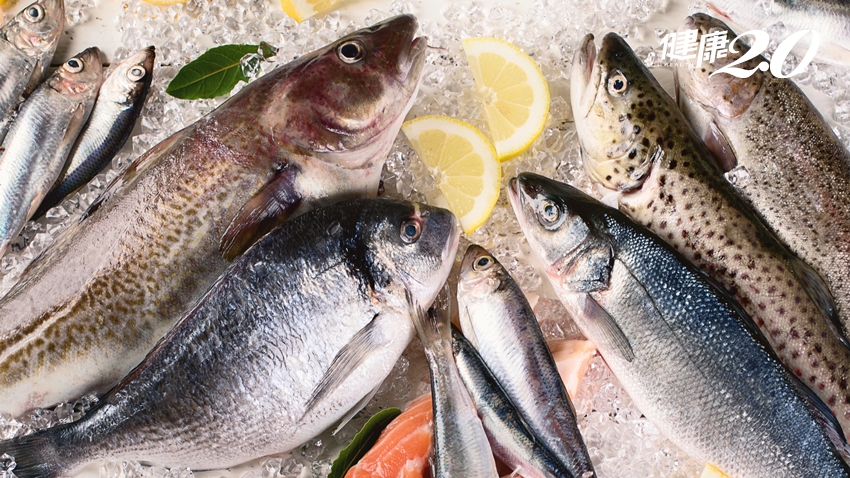 吃魚補腦、增強保護力！營養師激推「Top10好魚」 魚油怎麼吃最好？