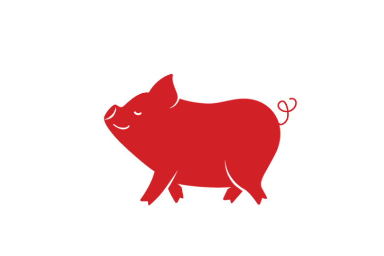 ▲生肖運勢：豬