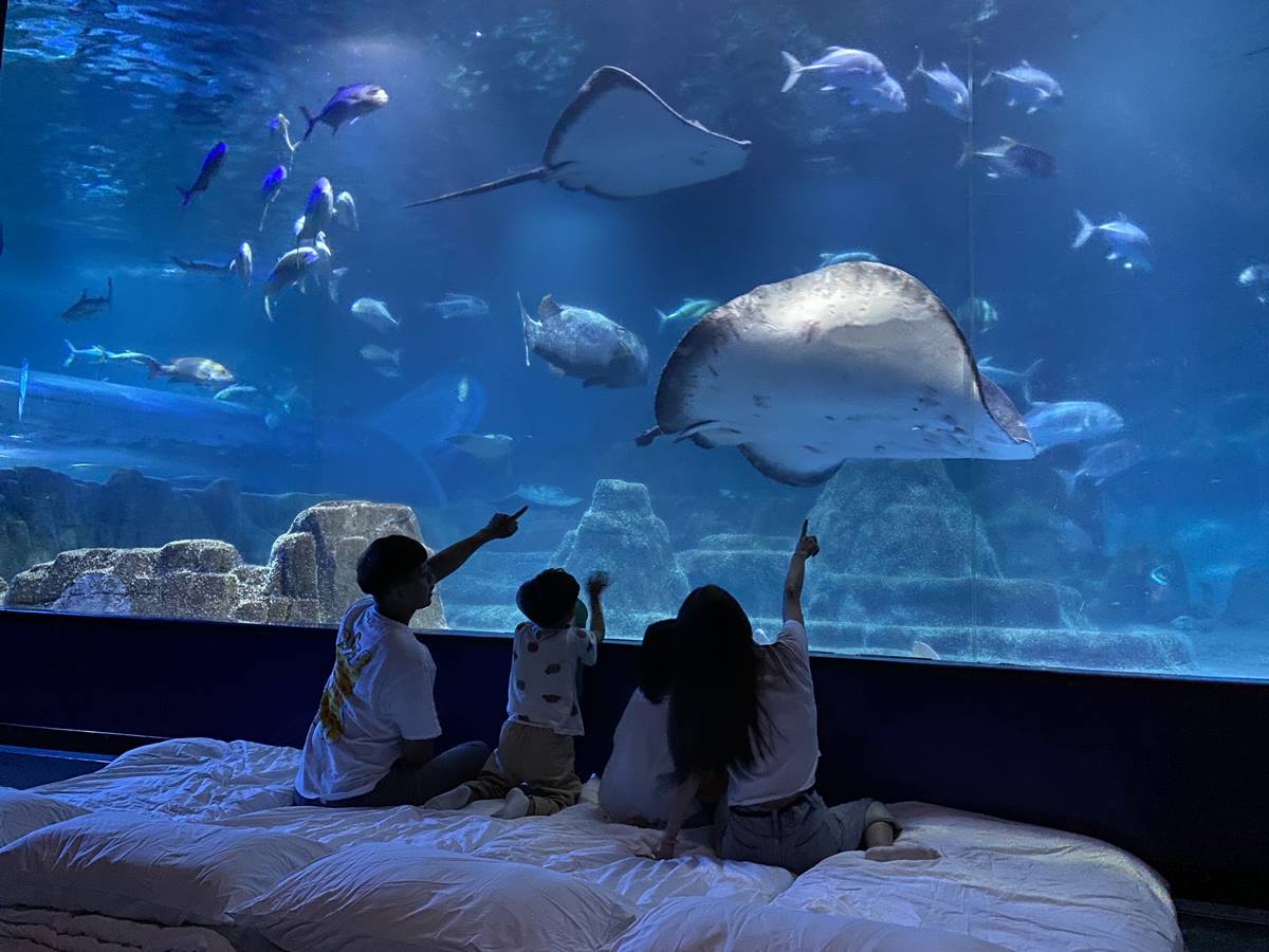 買１晚送１晚！高雄洲際酒店等３旅宿快閃好康，免費夜宿水族館、爽住打卡房