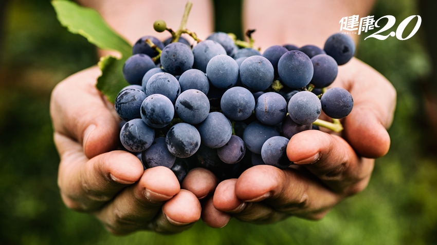 葡萄營養大不同！營養師：這個顏色葡萄最適合常感冒、過敏體質者吃！想光采動人要吃黑色