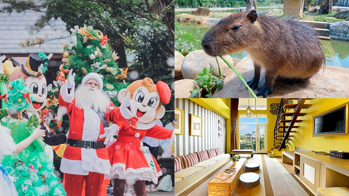全台最正宗飄雪耶誕村！動物體驗飯店和狐獴、水豚過耶誕，入住免費玩六福村