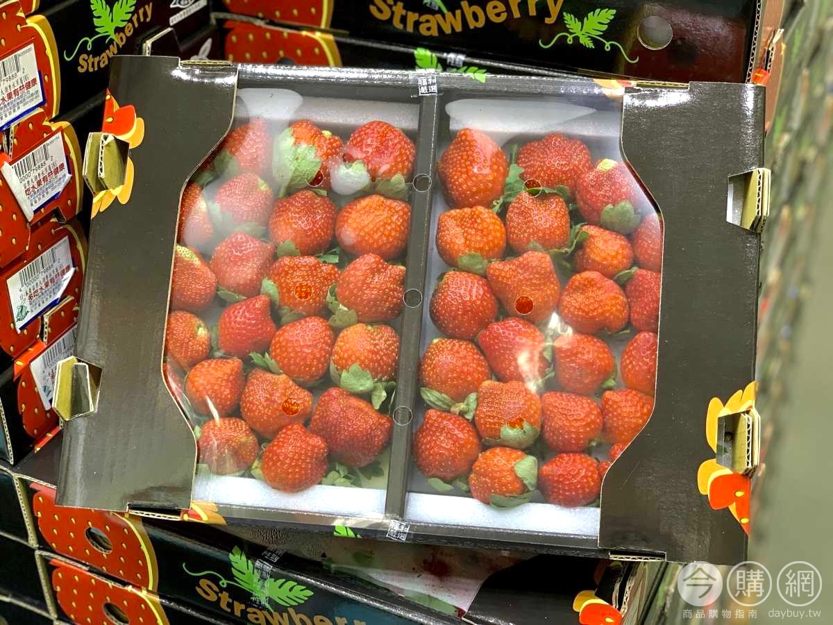 草莓控先搶！好市多「大湖草莓」１公斤400有找，鮮甜多汁超Juicy