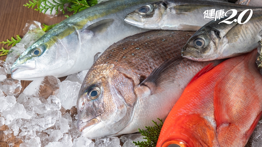 吃魚顧腦、防血管硬化！日專家公開「高魚油魚類排行榜」 每周吃這個量對健康好
