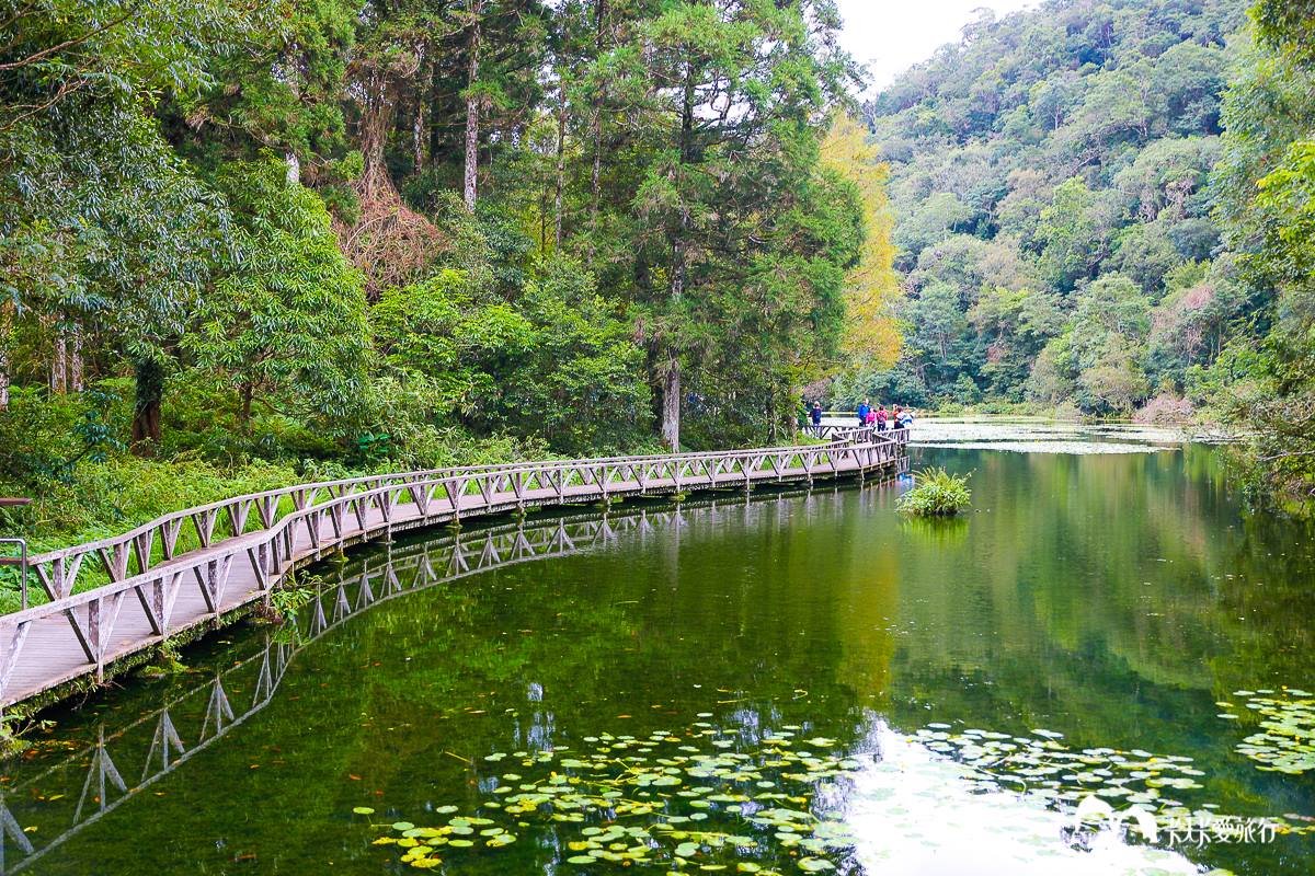 美拍祕境再＋１！宜蘭植物園打卡絕美「綠色廊道」，還能賞整面湖泊倒影