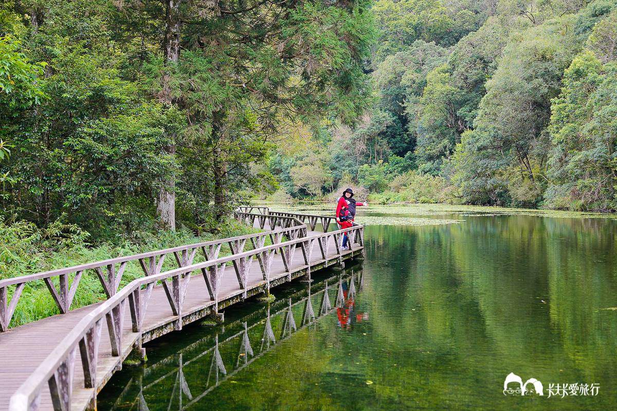 美拍祕境再＋１！宜蘭植物園打卡絕美「綠色廊道」，還能賞整面湖泊倒影